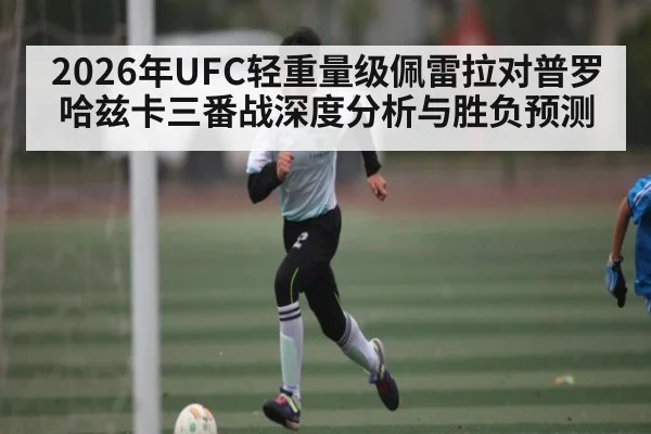 2026年UFC轻重量级佩雷拉对普罗哈兹卡三番战深度分析与胜负预测